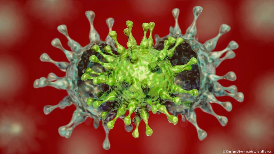 Scientists find new drug target to treat coronavirus, fight future pandemic