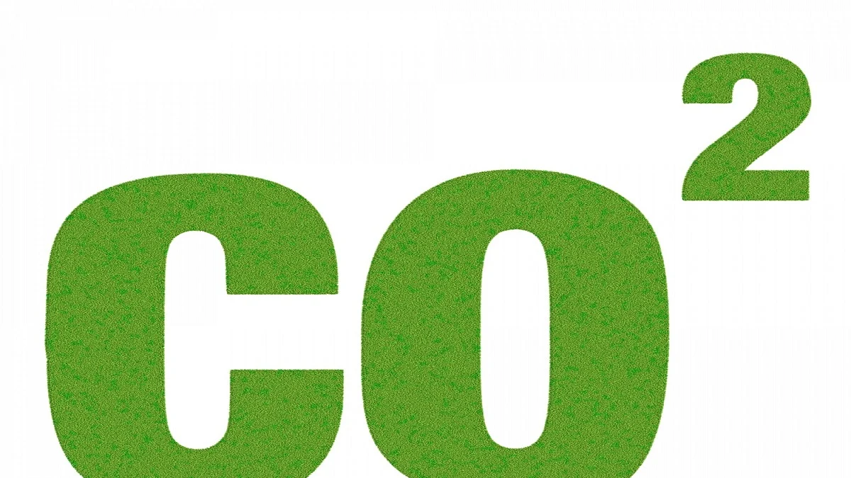 CO2 emissions at record high despite COVID-19 pandemic