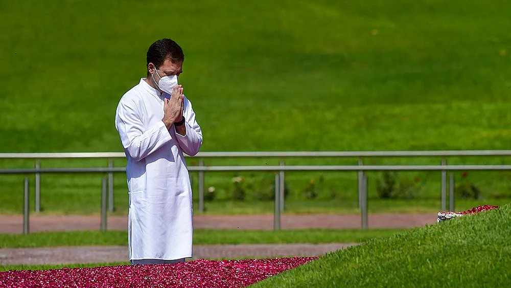 Rahul Gandhi's report card over the last one year shows his focus and concerns
