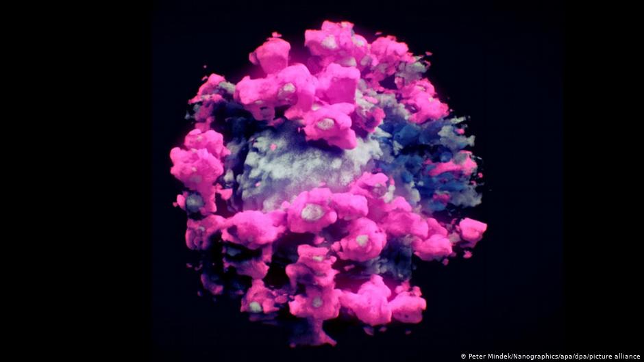 COVID variant spreads to more countries as world on alert
