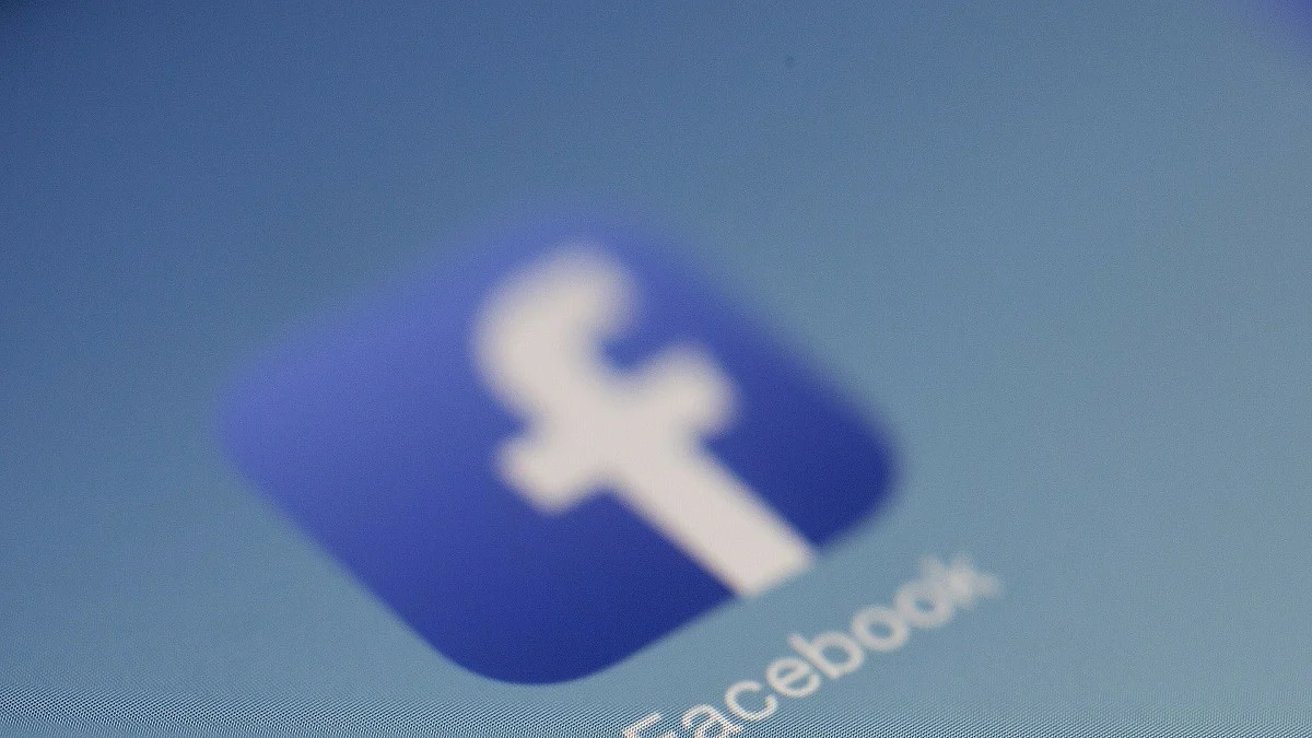 'Fist, not hand': SC says Facebook has potential to polarise public debate