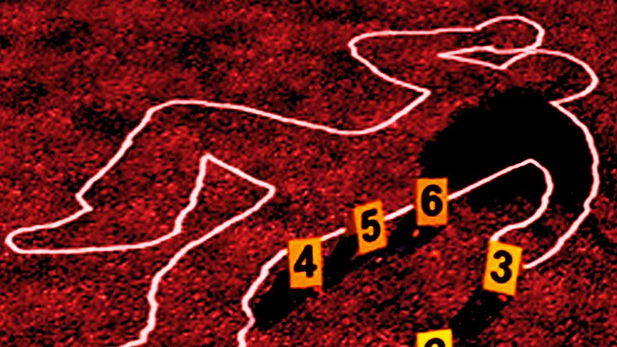 Brother murders brother over Rs 500