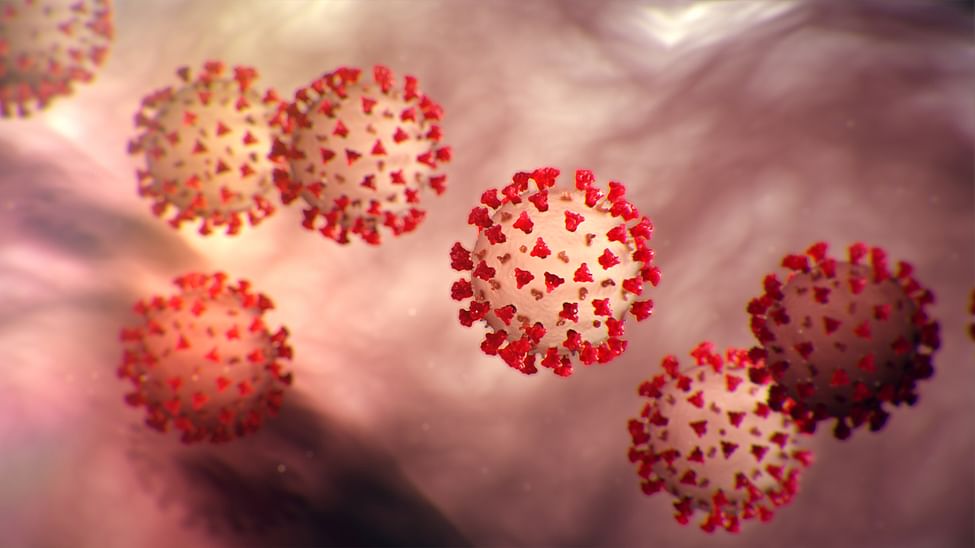 Covid antibodies persist at least 9 months after infection: Study