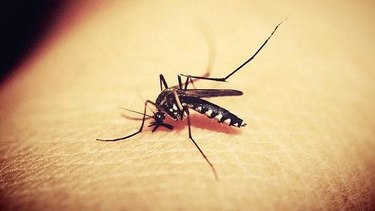 Now Kerala reports Zika virus cases too