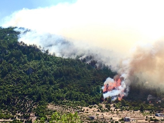 Wildfire engulfs power plant in Turkey, prompts evacuation