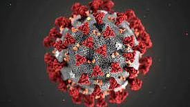 There's no need to panic about the new C.1.2 variant found in South Africa, according to a virologist