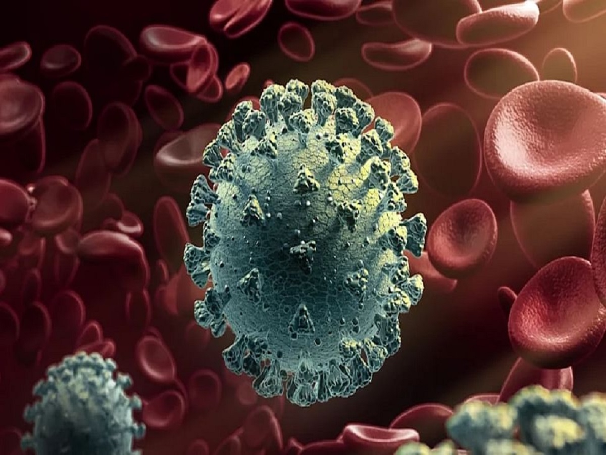No cases of new COVID variant C.1.2 detected in India: Health Ministry