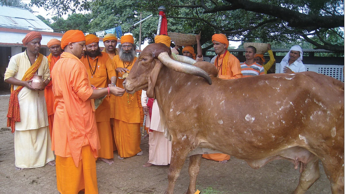 Ground shifting in Uttar Pradesh as people start questioning Maharaj's record in office