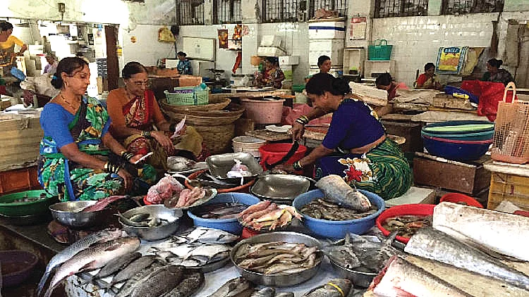 Koli women sort out the catch their men bring, and take the fish to markets