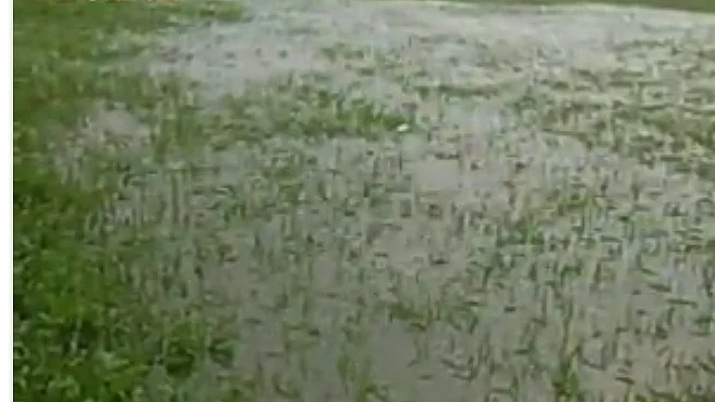 Karnataka rain losses: 24 dead, 5L hectare of crops destroyed