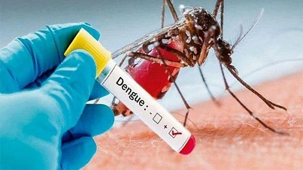 Central teams sent to 9 states, UTs reporting high number of dengue cases