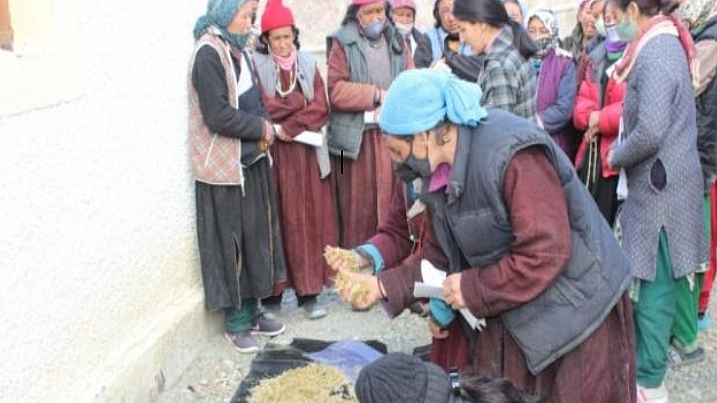 Benefits of mushroom cultivation enthuse women and farmers in Ladakh