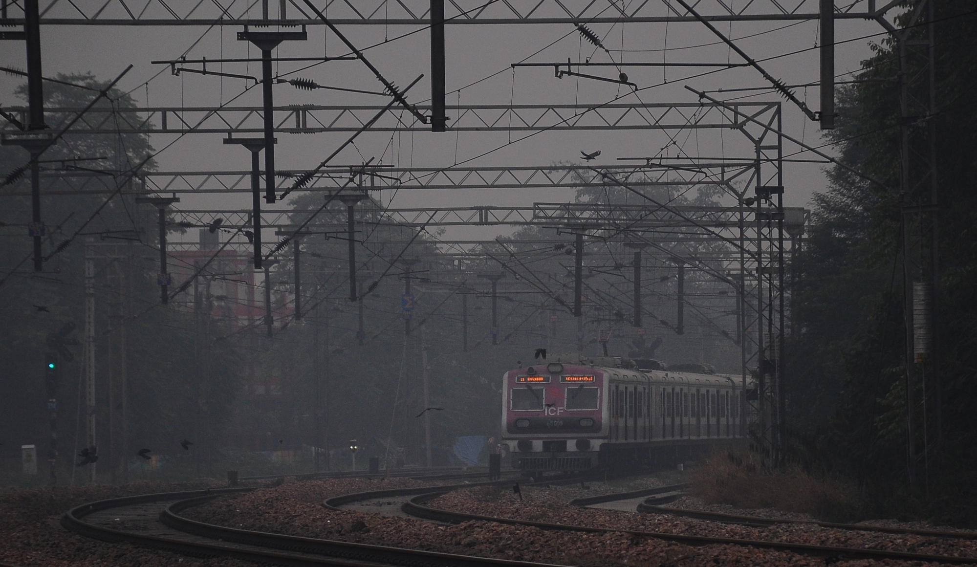 Foggy morning in Delhi, AQI improves to 'moderate'