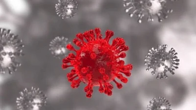 Omicron nothing more than 'seasonal cold virus': US-based doctor