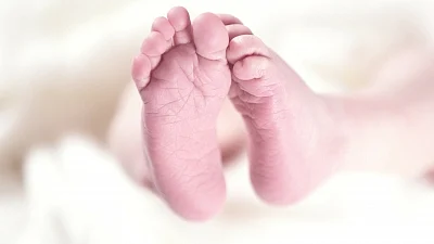 Newborn foetuses found near private maternity clinic in Maharashtra's Wardha