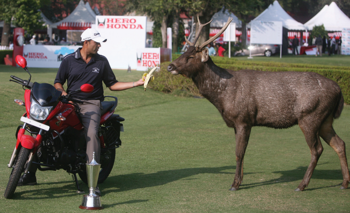 Delhi musings: Poor ‘deers’ at the Delhi Golf Club and the Khan Market 'gang'