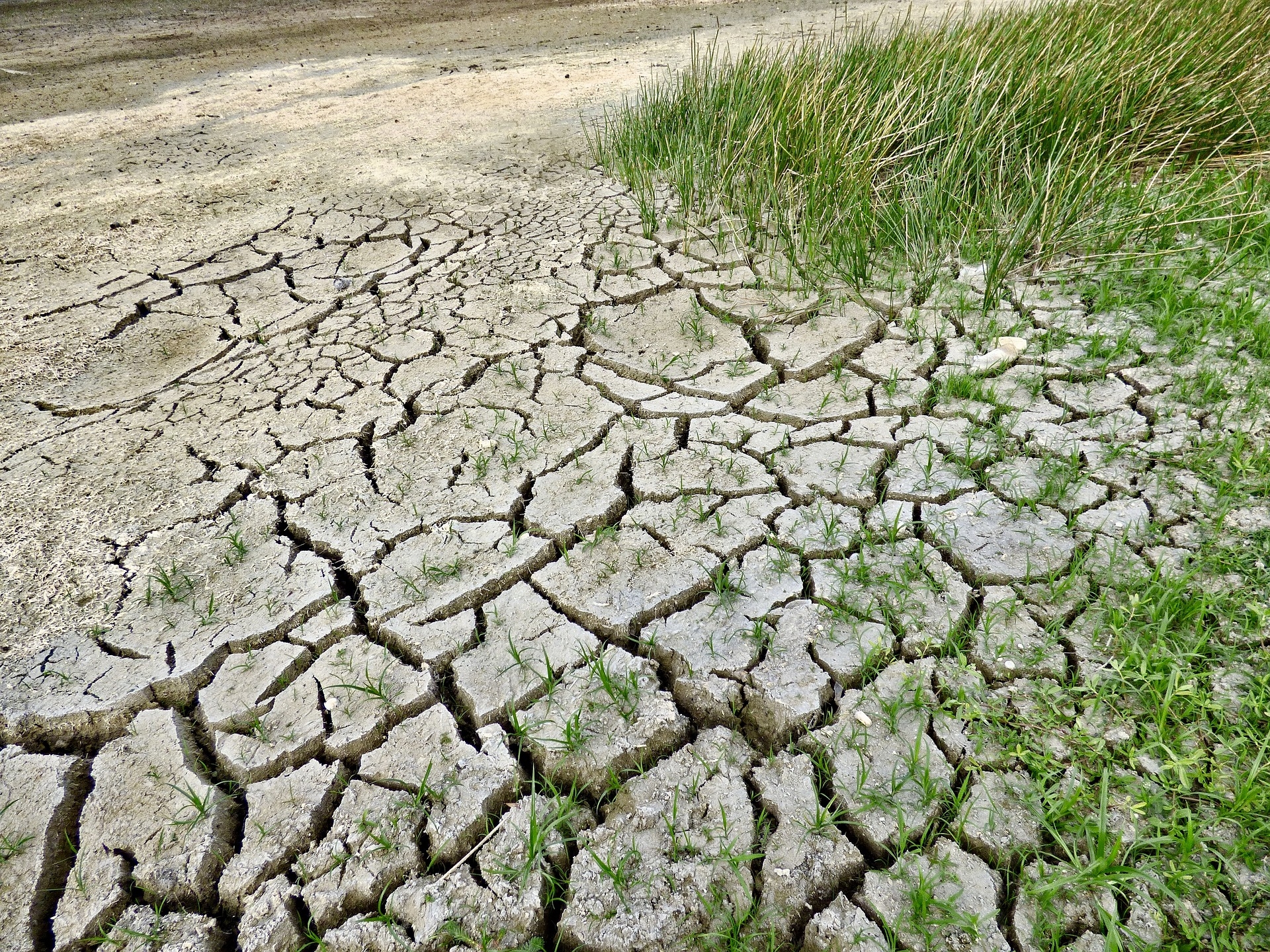 Financial impact of climate-related risks to Indian cos estimated at Rs 3,285bn
