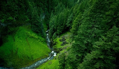 Changes in vegetation shaped global temperatures over last 10 thousand years