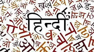 Languages should unite, in India they only divide