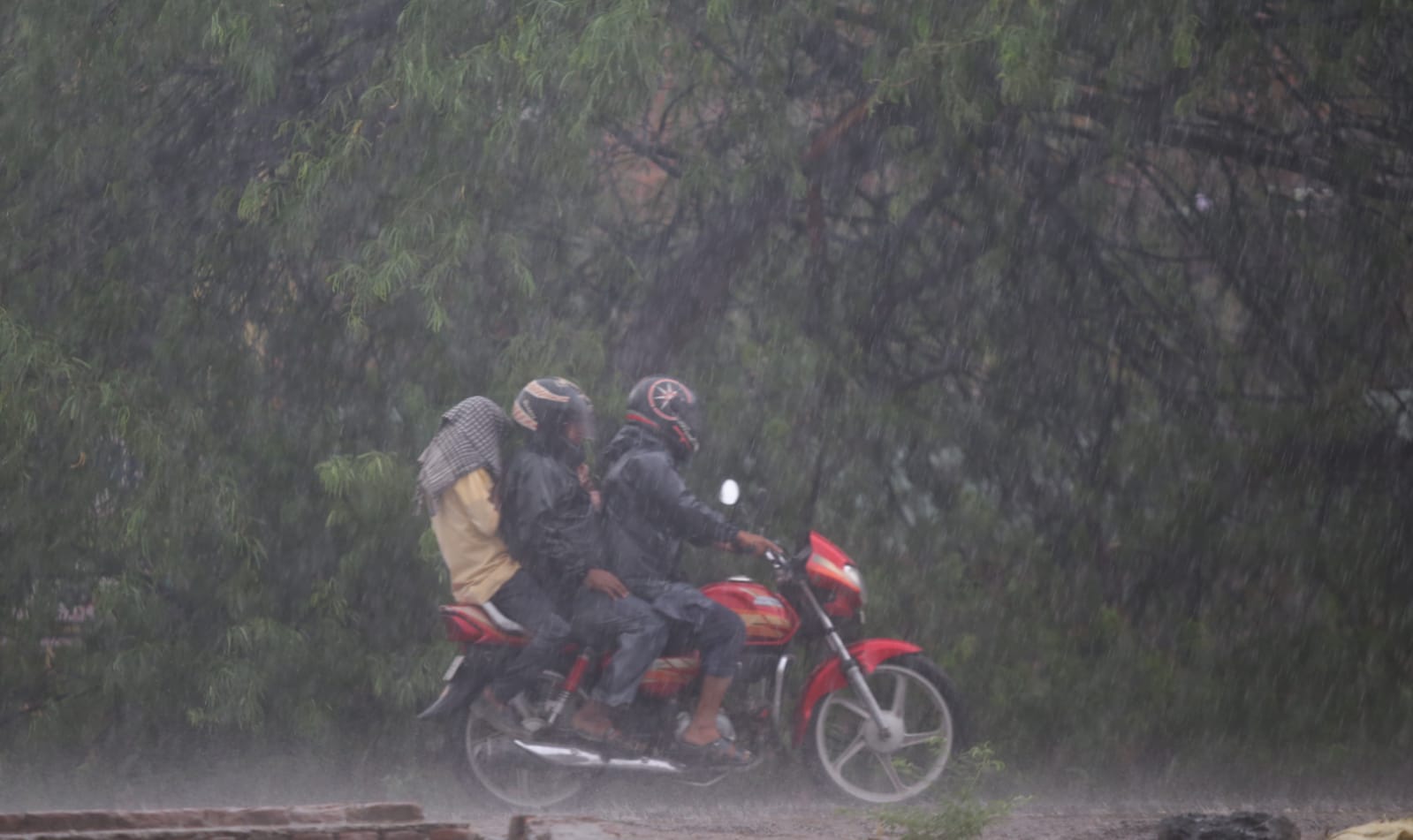 Southwest monsoon covered entire country six days ahead: IMD