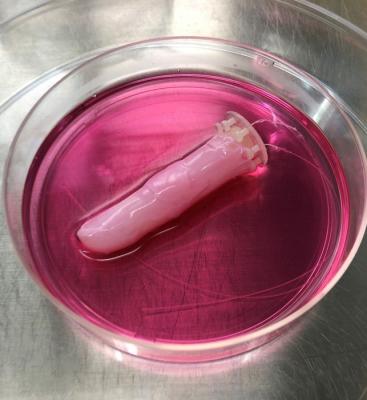 Scientists craft sweaty, self-healing living human skin for robots