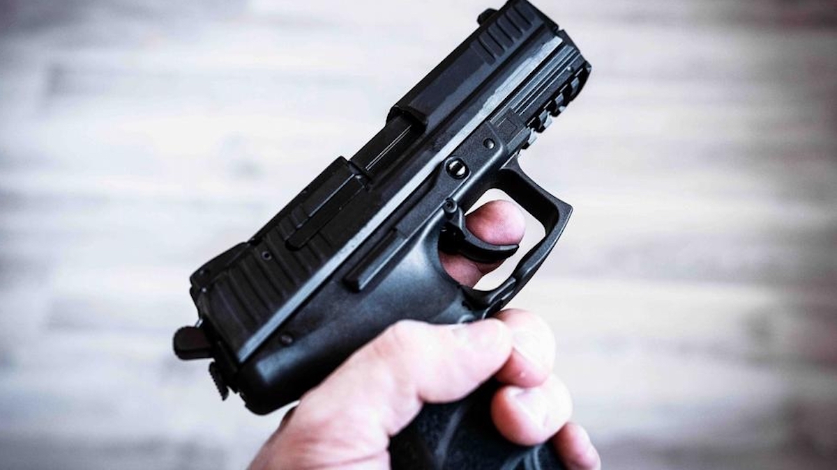 Delhi: 45 hand guns seized from 2 passengers at IGI