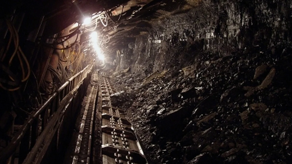 Aus environmental party to introduce bill to close state coal plants by 2030