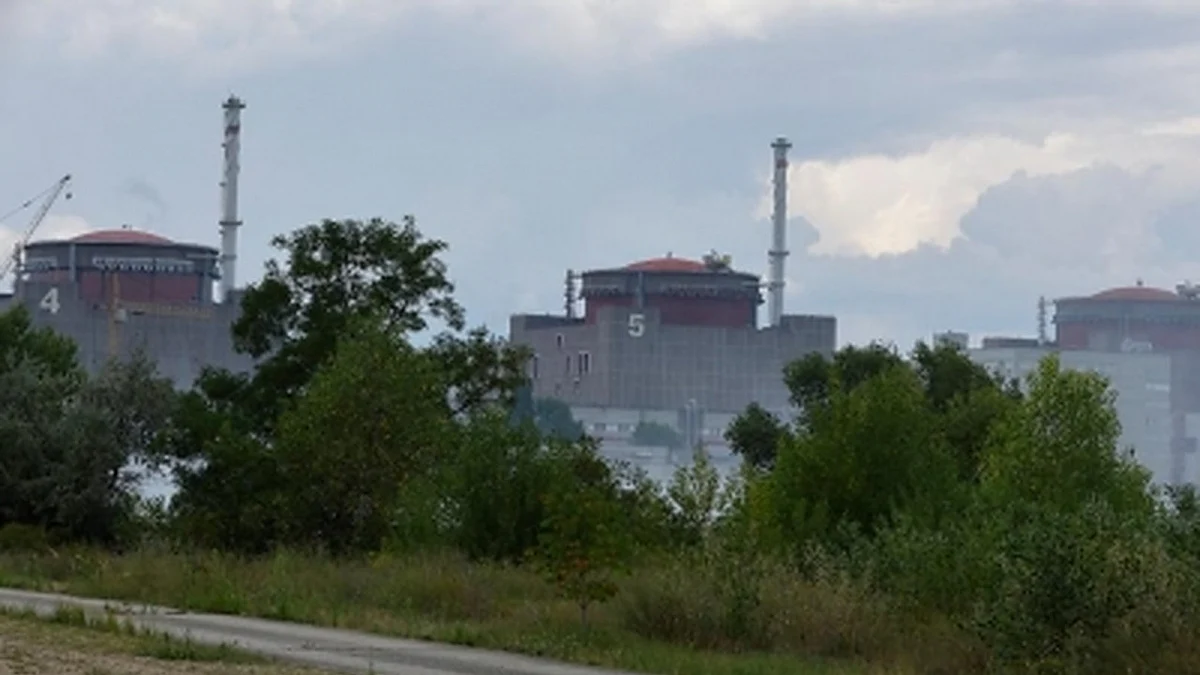 Ukraine nuke plant not at immediate risk: IAEA