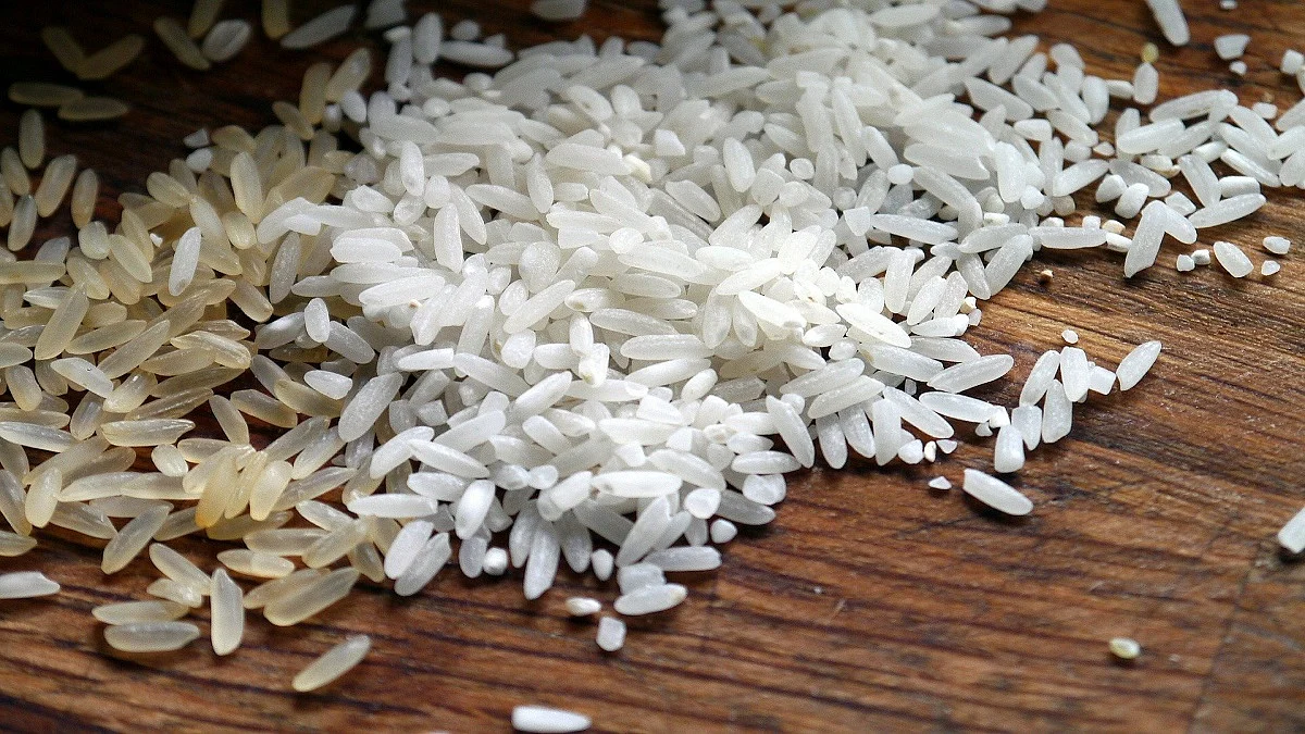 India bans export of broken rice