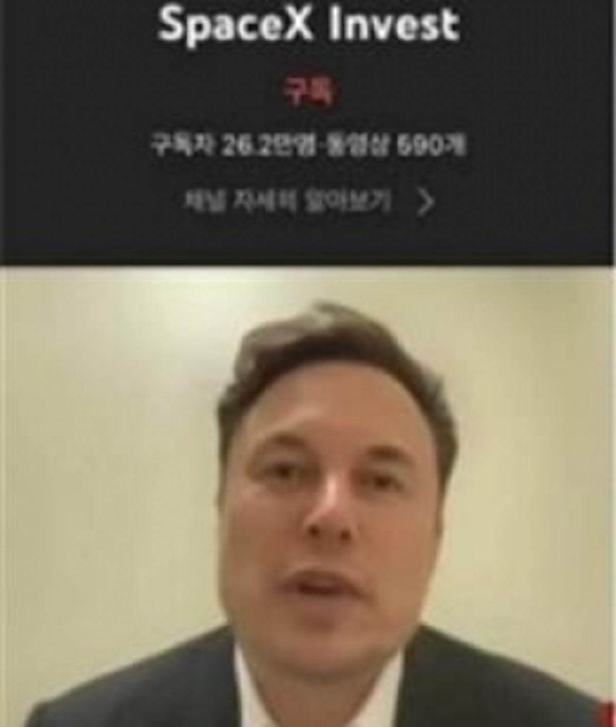South Korean government's YouTube channel hacked to stream Elon Musk video