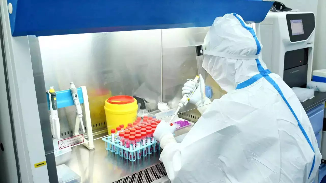 New COVID-like virus found in bats could infect humans, resist vaccines: Study