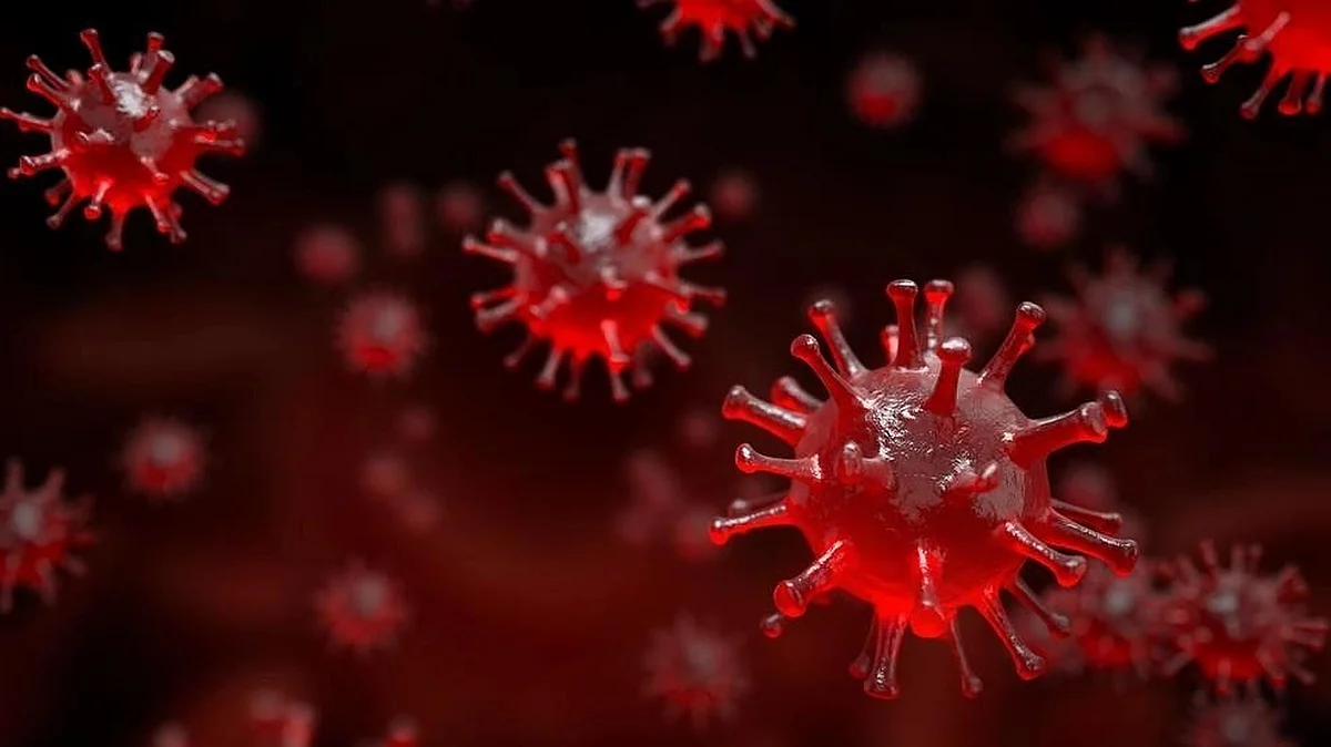 1,082 fresh COVID-19 cases in India