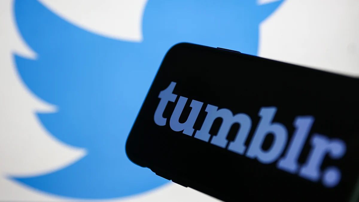 Alternatives like Tumblr, Mastodon see meteoric rise amid shakeup at Twitter