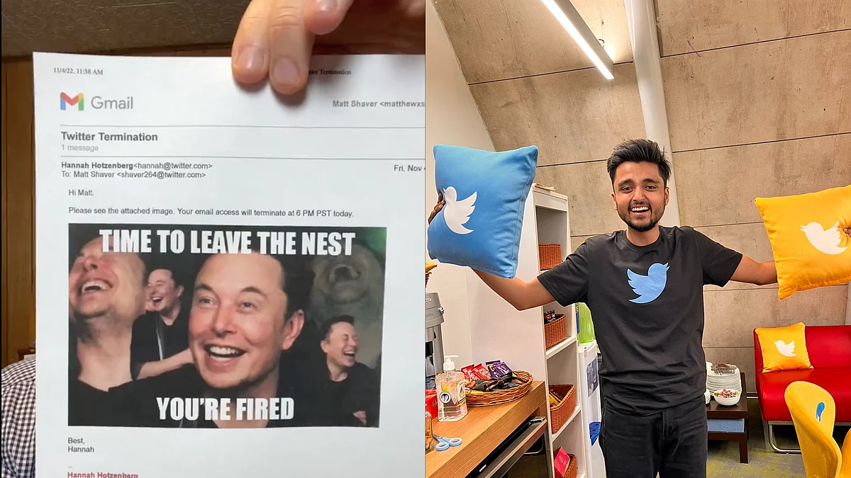 Time To Leave the Nest: Elon Musk fires 3,700 Twitter employees