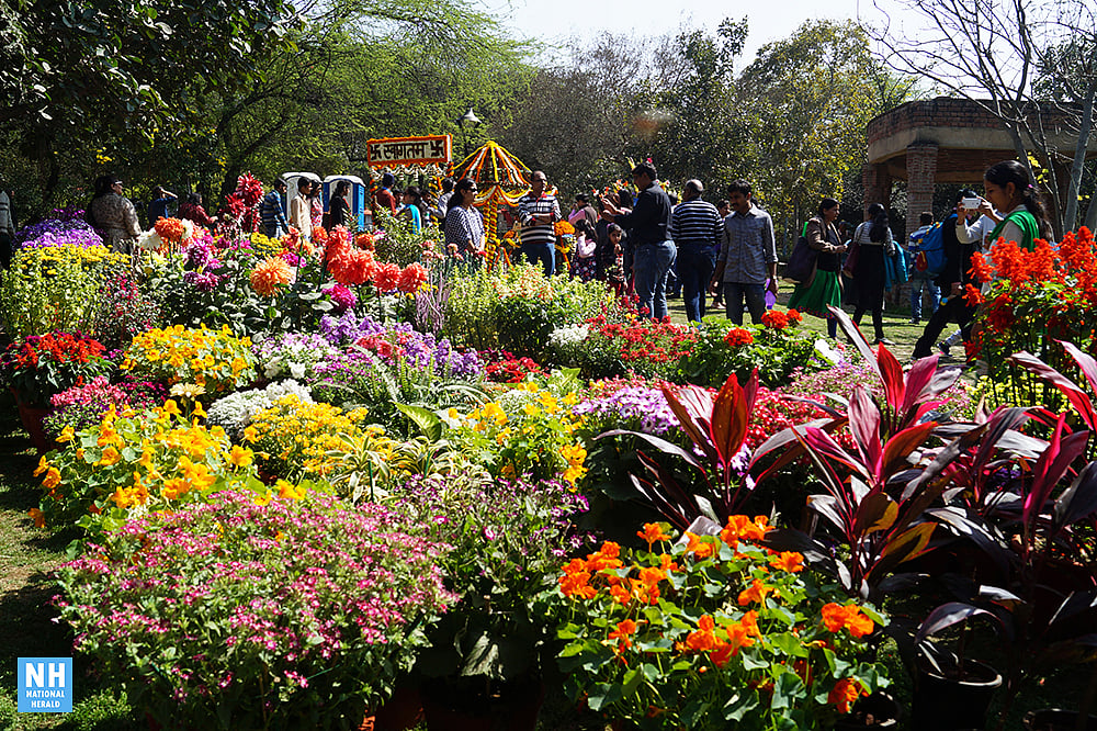 Images Delhi decked in splendid colours of spring