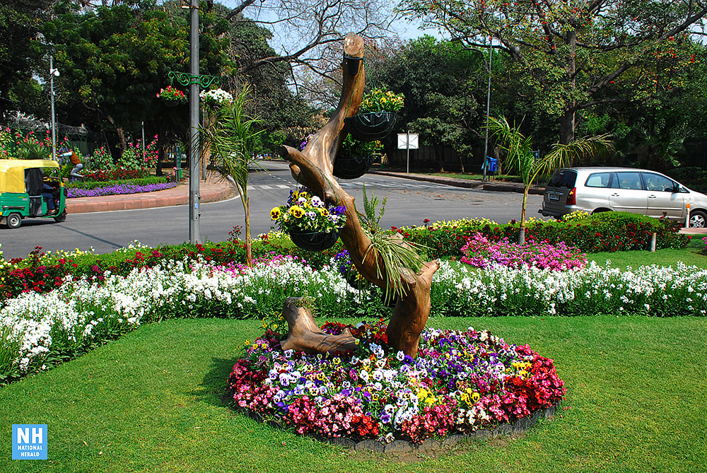 Images Delhi decked in splendid colours of spring
