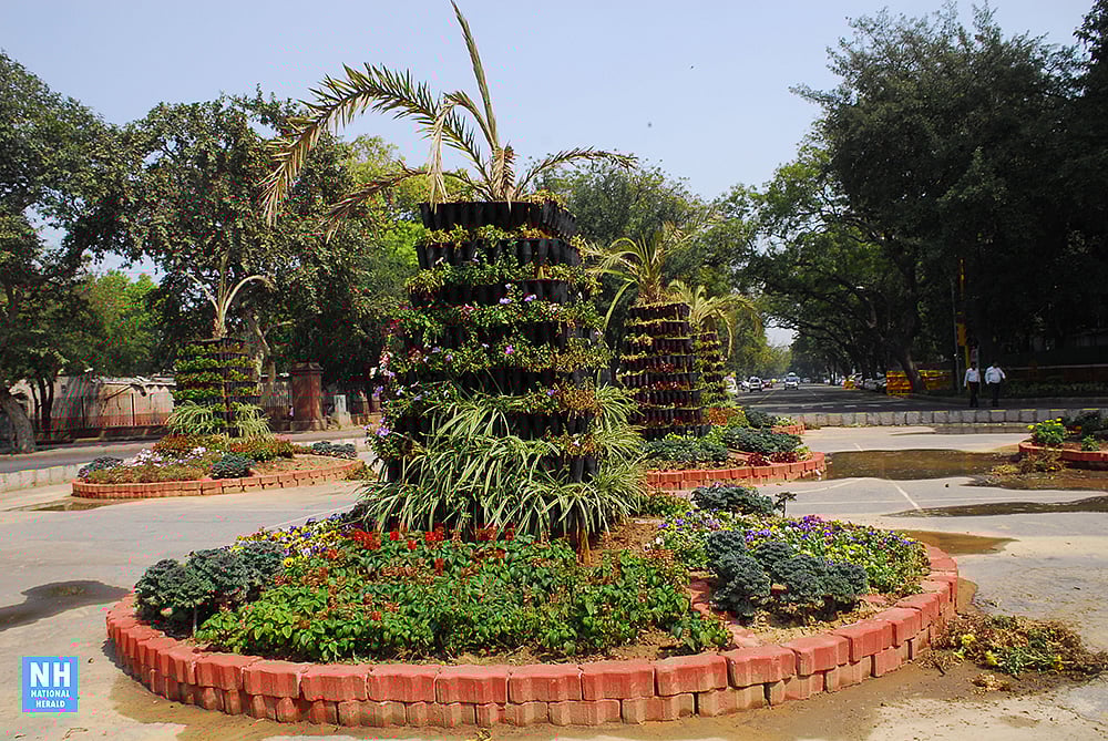 Images: Delhi decked in splendid colours of spring