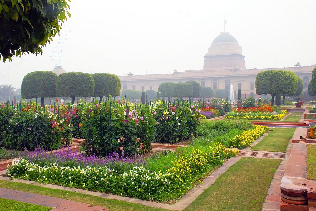 Mughal Gardens open for public from February 6 flowers in pictures