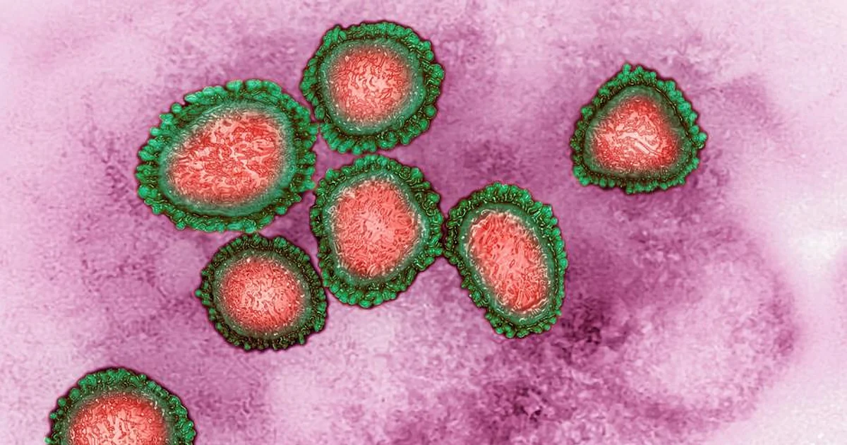 www.nationalheraldindia.com: New nanobody-based treatments may help fight COVID www.nationalheraldindia.com: New nanobody-based treatments may help fight COVID