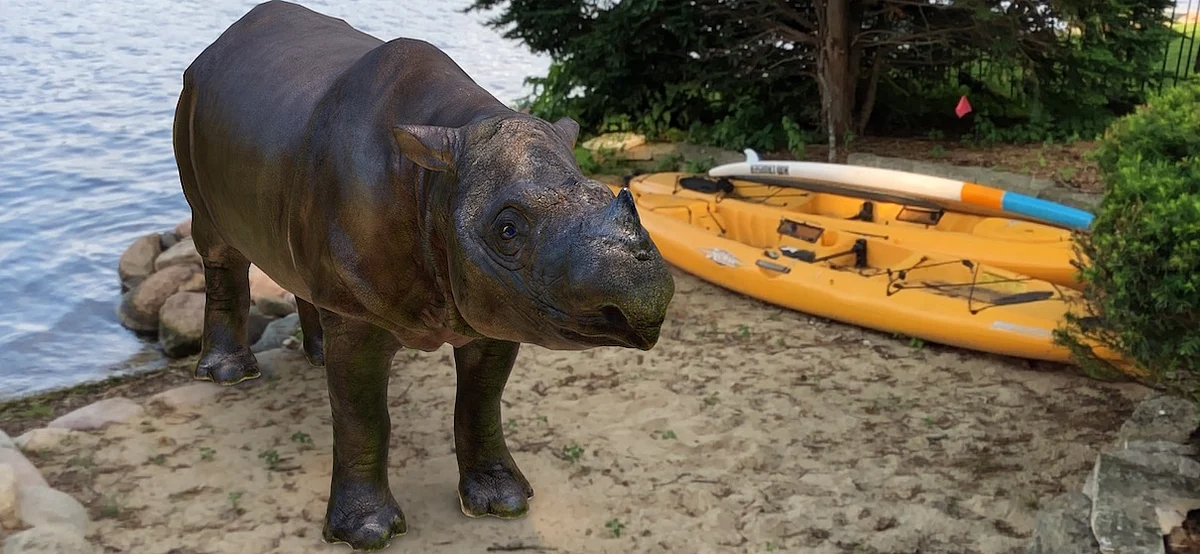 The 3D digital copy of the Sumatran rhino transposed onto a different background