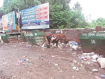 फोटो : शाहीज़र वारिस खान