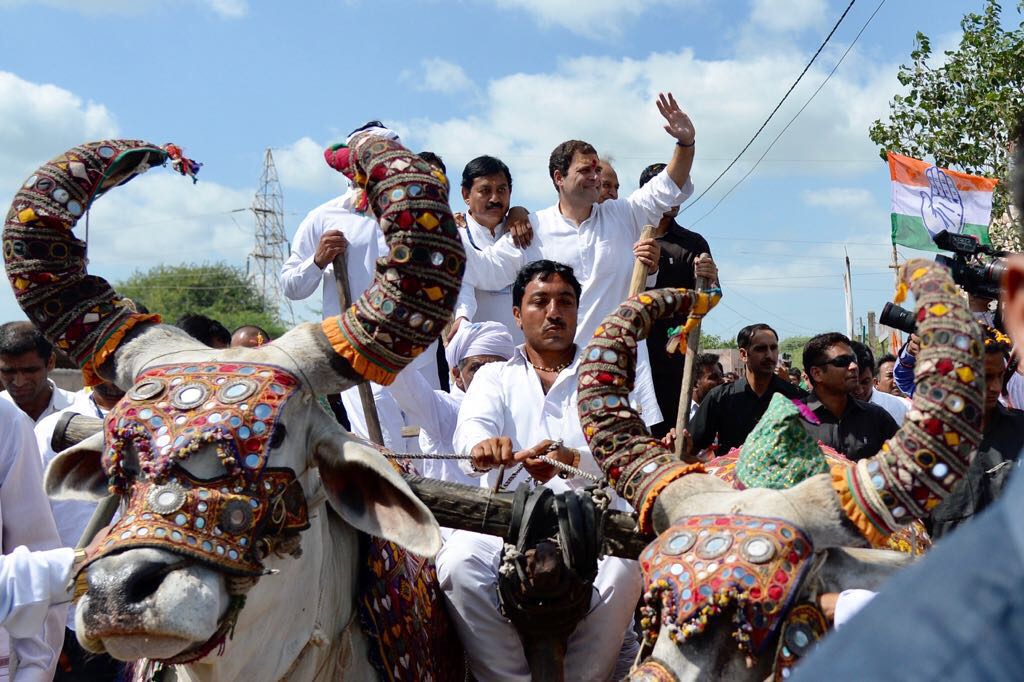 गुजरात में बैलगाड़ी पर बैठकर राहुल गांधी ने की चुनावी अभियान की शुरुआत