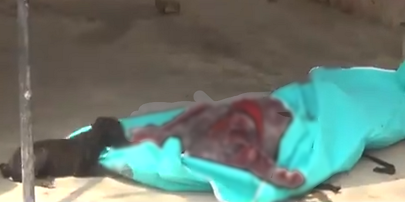 यूपी: बूचड़खाने बंद होने से नरभक्षक बने कुत्ते, 3 बच्चों की मौत पर लोगों ने 13 कुत्तों को उतारा मौत के घाट