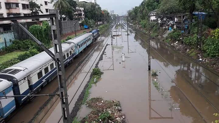फोटो: सोशल मीडिया