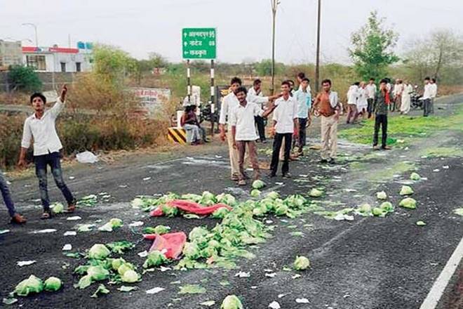मृणाल पांडे का लेख: किसानी से डरने वाला समाज