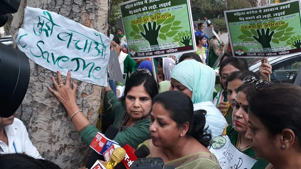 दिल्ली: पेड़ों की कटाई पर रोक की मांग करने वाले याचिकाकर्ता ने कहा, ऐसा हुआ तो सरकार-नागरिक दोनों होंगे जिम्मेदार