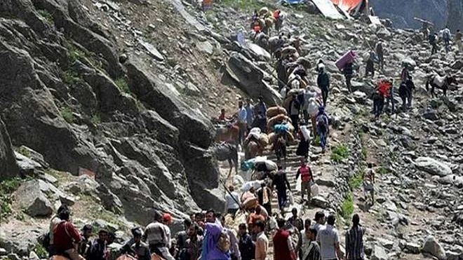 फोटो: सोशल मीडिया 