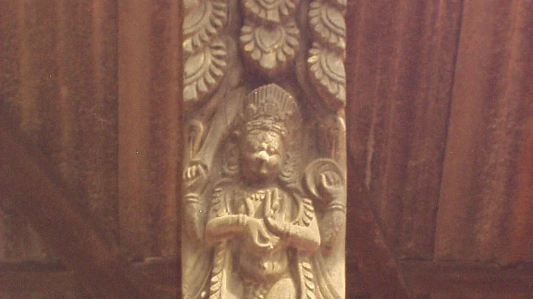 फोटो: सोशल मीडिया