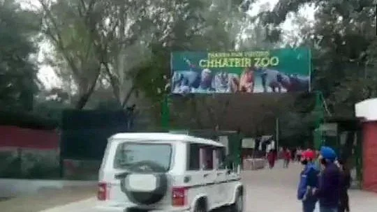 फोटो: सोशल मीडिया 