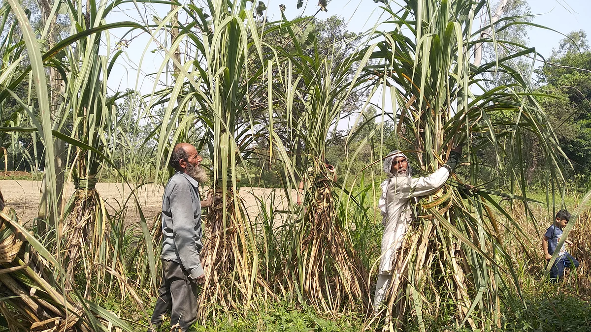 मोदी सरकार के चुनावी बजट से पश्चिमी यूपी के किसानों में उबाल, बोले- हमने राहत मांगी थी, खैरात नहीं